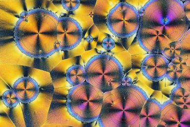 Polarize ışığın renkli mikro kristaller