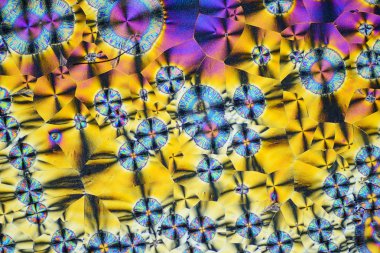 Polarize ışığın renkli mikro kristaller