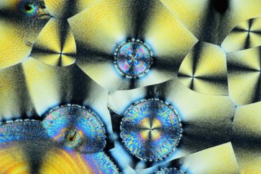 Polarize ışığın renkli mikro kristaller. Bir MICR aracılığıyla fotoğraf