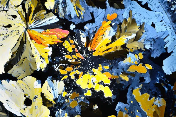 Colorful micro crystals in polarized light. Photo through a micr — Stock Photo, Image