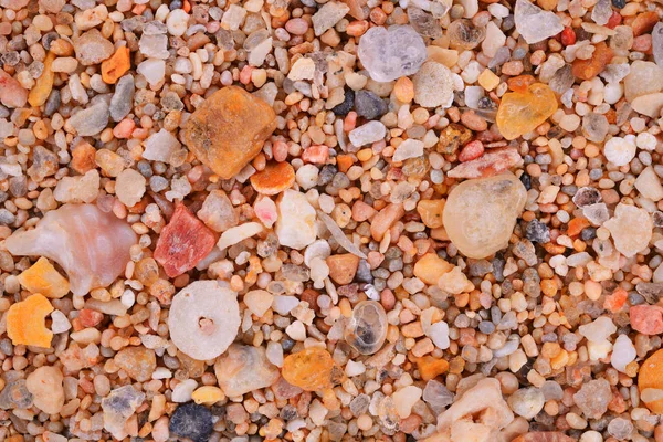 Ακραία κοντά σε κόκκους άμμου — Φωτογραφία Αρχείου