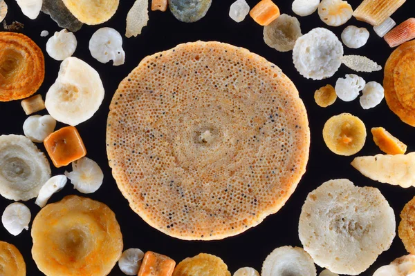 Extrême gros plan des coquilles de Foraminifera dans le sable corallien — Photo