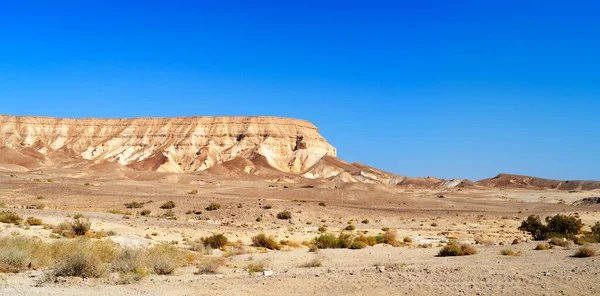 イスラエルのアラド市近くのネゲヴ砂漠の風景 ロイヤリティフリーのストック写真