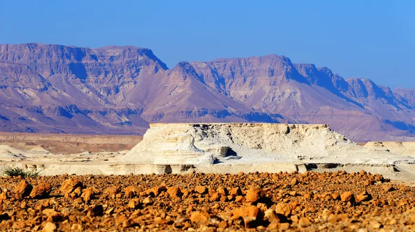 Paisagem Deserto Judeia Perto Mar Morto Israel — Fotografia de Stock