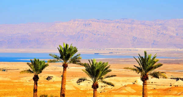 Юдейська Пустеля Біля Мертвого Моря Ізраїль — стокове фото