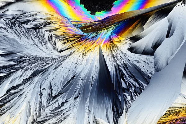 Foto Través Microscopio Cristales Que Crecen Del Derretimiento Del Alumbre —  Fotos de Stock