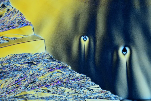 Фото Через Микроскоп Кристаллов Выращенных Раствора Аскорбиновой Кислоты Спирте Поляризованная — стоковое фото