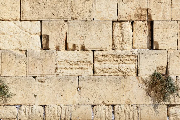 Detalhe Muro Ocidental Jerusalém Cidade Velha Israel — Fotografia de Stock
