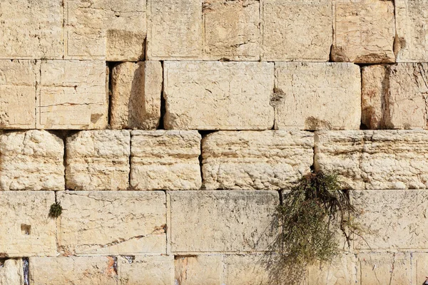 イスラエルのエルサレム旧市街の西壁の詳細 ストック画像
