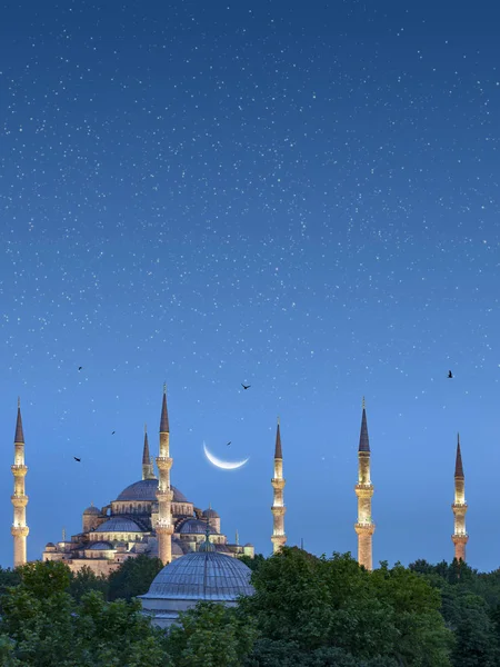 Cityscape ev çatıları, tapınaklar, yeşil ağaçlar ve dev genç ay ve yıldız zemin üzerine mavi gökyüzü.