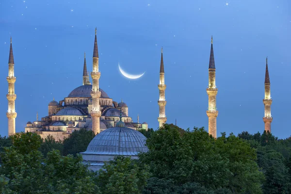 Cityscape Com Telhados Casa Templos Árvores Verdes Céu Azul Com Imagem De Stock