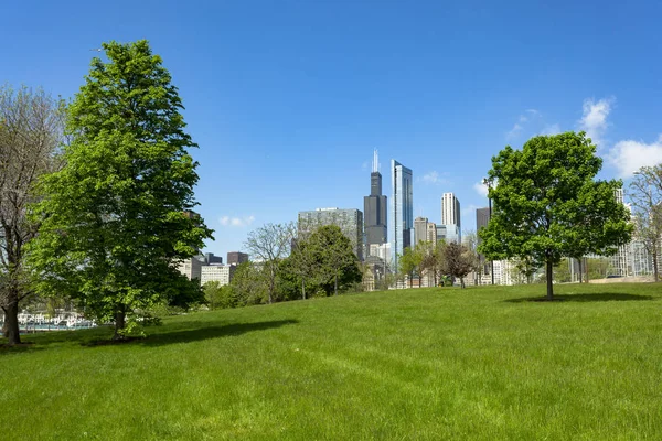 Chicago manzarası modern cityscape 