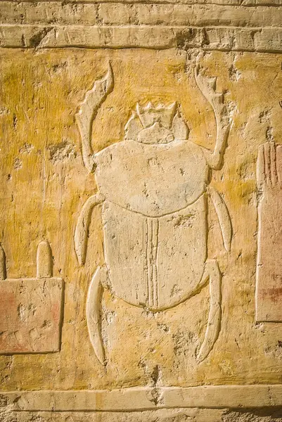 Scarab in the Ancient Egyptian hieroglyphs — Stock Photo, Image