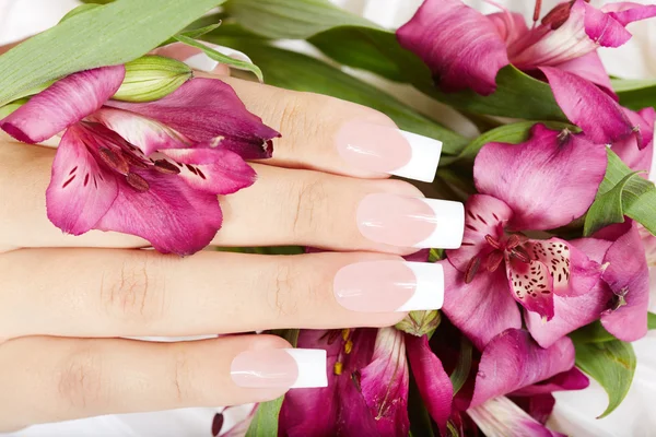 Hand med franska manikyrerade naglar på lily blommor bakgrund — Stockfoto