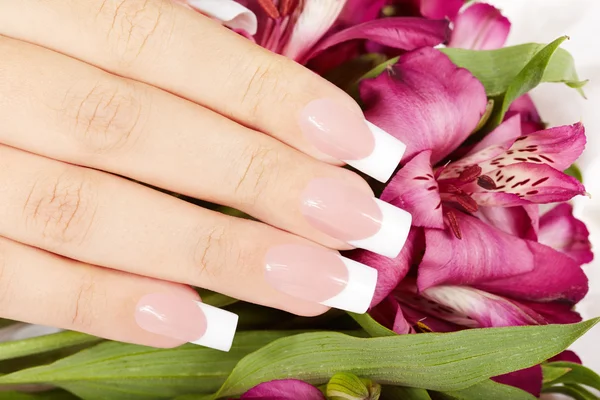Mano con uñas manicuradas francesas sobre fondo de flores de lirio —  Fotos de Stock