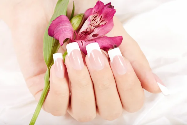 Mano con largas uñas artificiales manicura francesa y flor de lirio —  Fotos de Stock