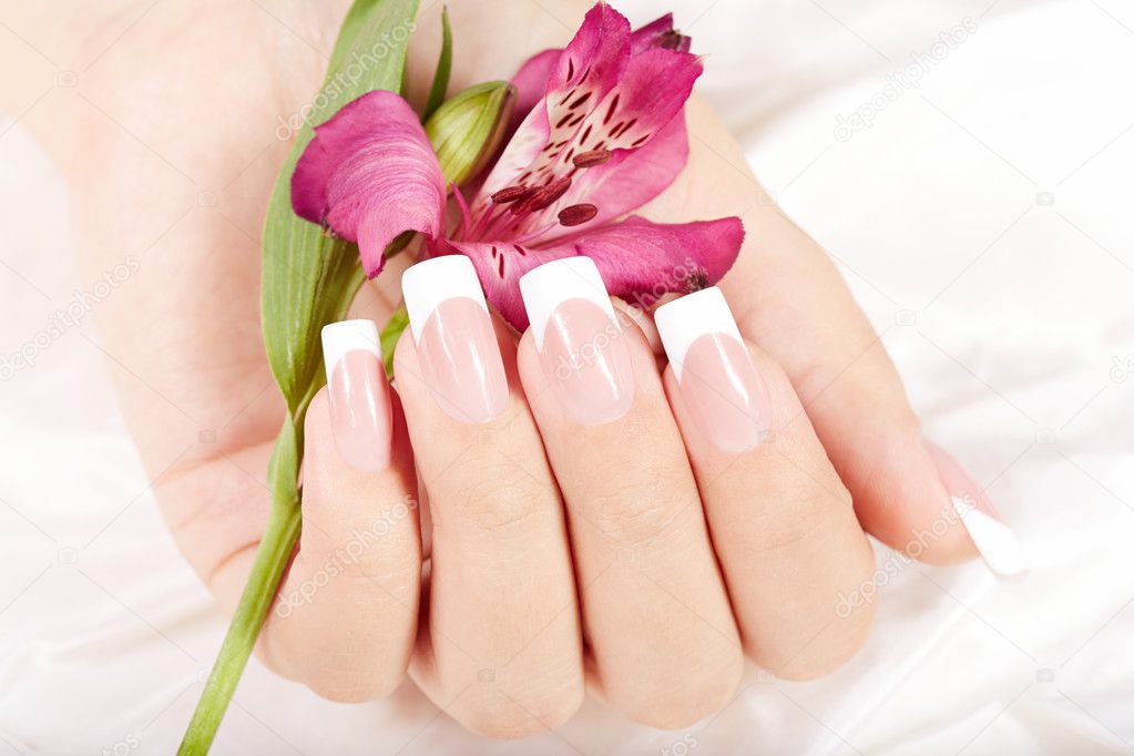 Hand with long artificial french manicured nails and lily flower