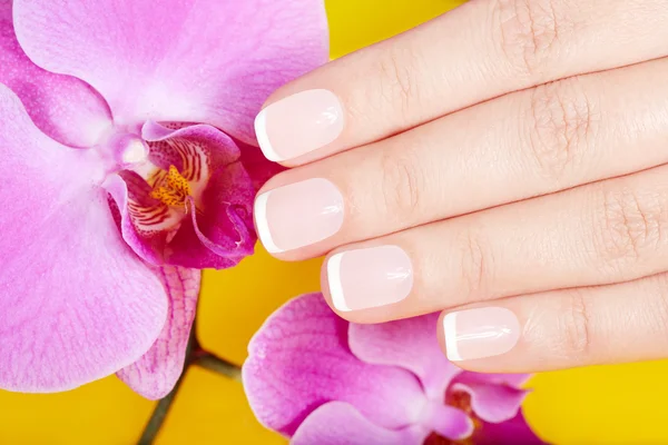 Hand met Franse gemanicuurde nagels en violet orchidee bloemen — Stockfoto