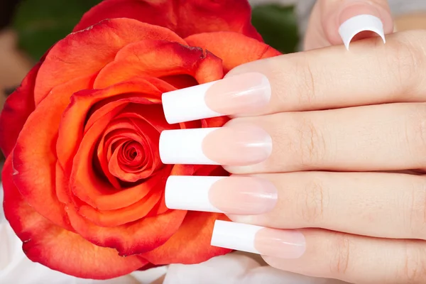 Ręka z francuski manicure paznokcie i czerwona róża kwiat — Zdjęcie stockowe