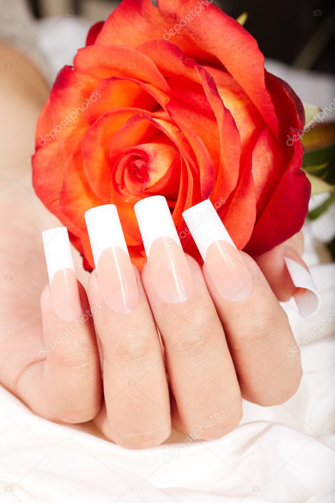 Hand with french manicured nails and red rose flower