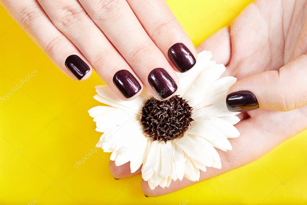 Hands with short manicured nails colored with dark purple nail polish