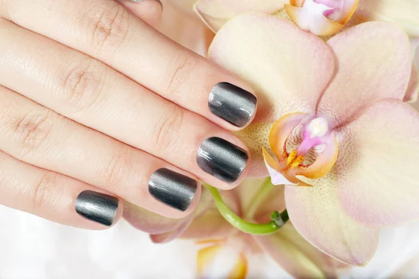 Hand with manicured nails and orchid flowers — Stock Photo, Image