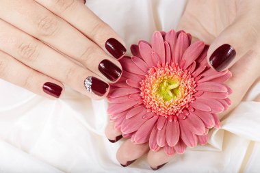 Elleri manikürlü tırnaklar koyu mor pembe çiçek tutan oje ile renkli