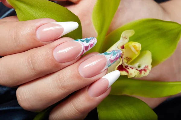 Mão com unhas manicured francesas artificiais longas que prendem uma flor do orchid — Fotografia de Stock