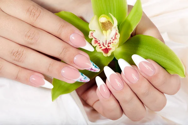 Hands with long artificial french manicured nails holding an orchid flower