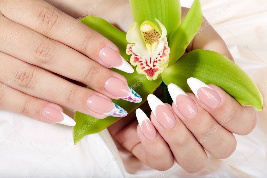 Hands with long artificial french manicured nails holding an orchid flower