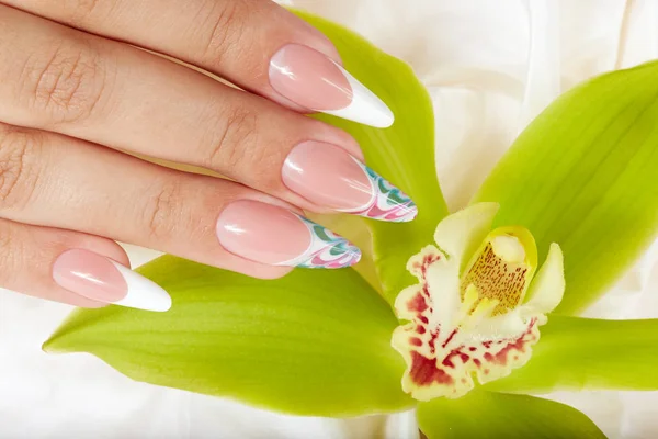 Mano con largas uñas artificiales manicura francesa sosteniendo una flor de orquídea —  Fotos de Stock