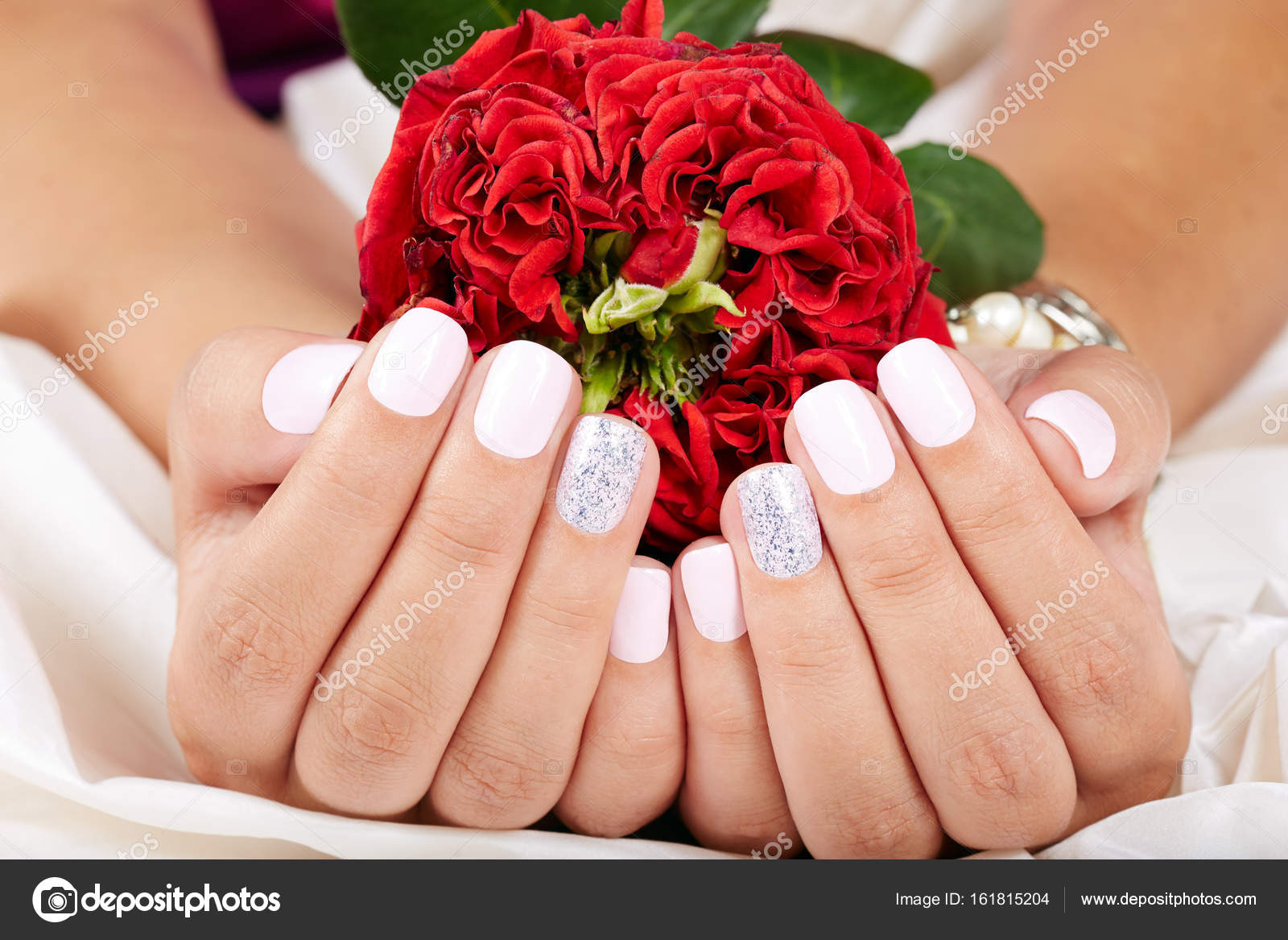 Hands With Short Manicured Nails Holding A Red Rose Flower Stock
