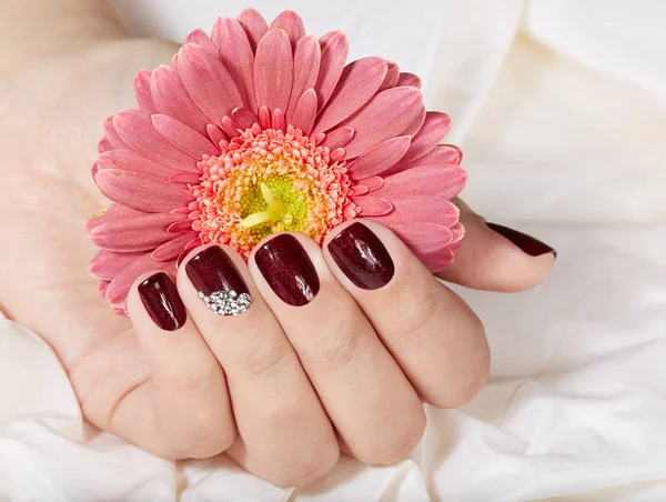 Strony, z krótki wypielęgnowane paznokcie kolorowe z ciemny fioletowy lakier do paznokci — Zdjęcie stockowe