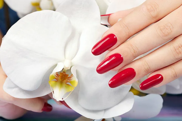 Hand med långa konstgjorda manikyrerade naglar färgad med rött nagellack — Stockfoto