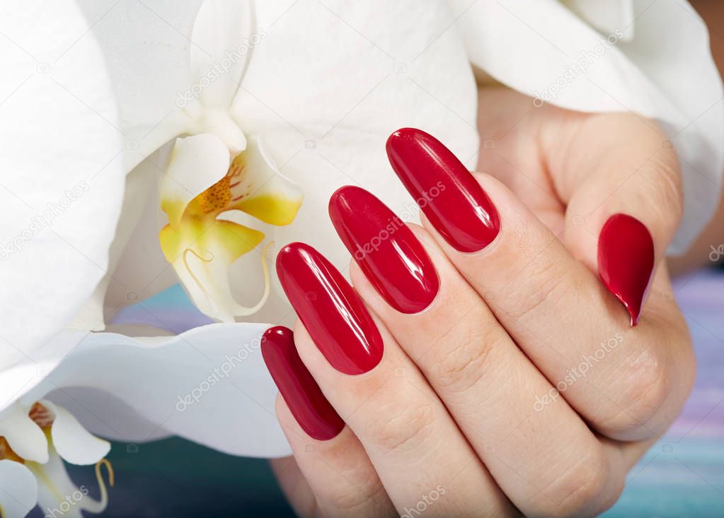 Hand with long artificial manicured nails colored with red nail polish 