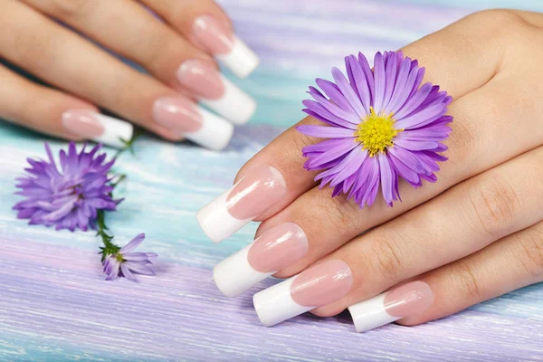 Handen met lange kunstmatige Franse gemanicuurde nagels — Stockfoto