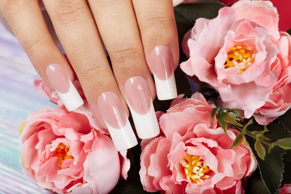 Hand met lange kunstmatige Franse gemanicuurde nagels en peony bloem — Stockfoto