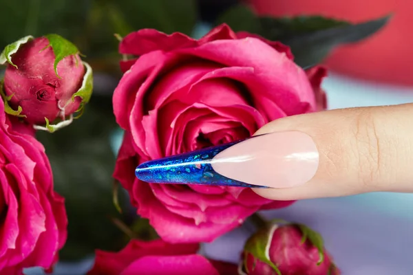 Palec Długie Sztuczne Niebieski Francuski Manicure Paznokci Różowe Kwiaty Róży — Zdjęcie stockowe