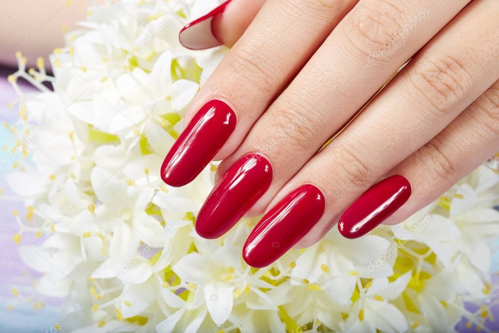 Hand with long artificial manicured nails colored with red nail polish and white flowers