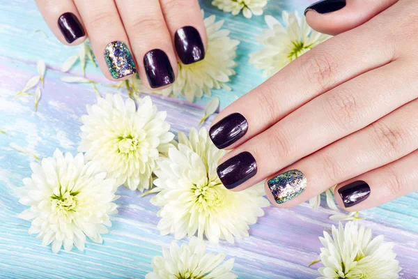 Mãos Com Unhas Bem Cuidadas Coloridas Com Esmalte Roxo Escuro — Fotografia de Stock