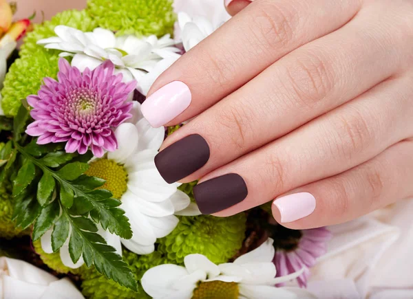 Hand Pink Purple Manicured Nails Bouquet Flowers — Stock Photo, Image