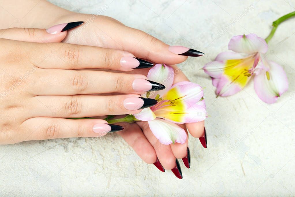 Hands with long artificial black french manicured nails and lily flowers