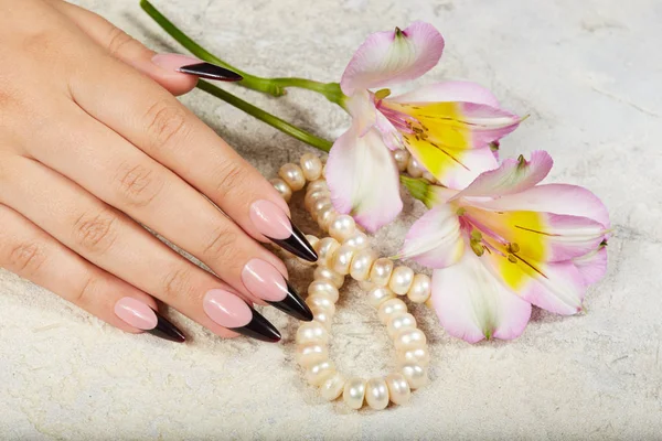 Mão Com Longas Unhas Manicure Francês Preto Artificial Flores Lírio — Fotografia de Stock