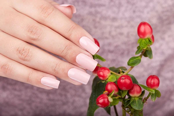 Hand with long artificial manicured nails colored with beige nail polish