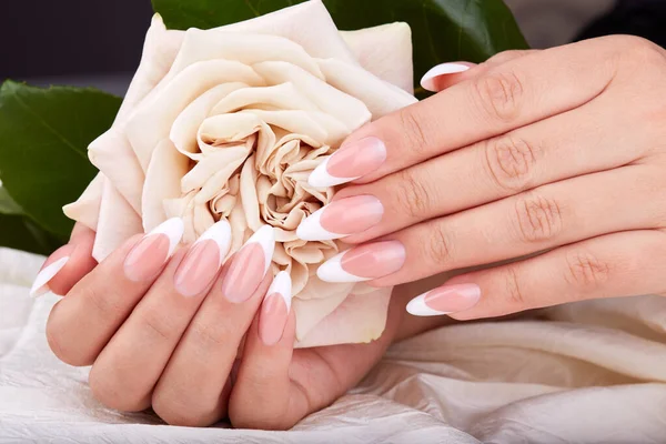 Ręce Długimi Sztucznymi Francuskimi Paznokciami Beżowym Kwiatem Róży — Zdjęcie stockowe