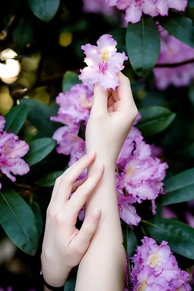 Moda arte de cuidados com as mãos e flores roxas nas mãos das mulheres . — Fotografia de Stock