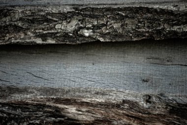 Ağaç arka planının dokusu. Çatallı eski doğal ahşap. Tasarım için boşluk