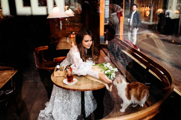 A girl in a Lacy white dress plays with a cat in a cozy cafe.View through the window. Cozy interior. The warm light of the lamp.the city is reflected in the window