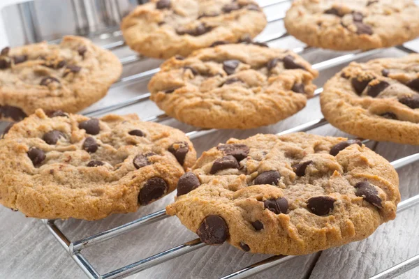 Biscoitos caseiros de chocolate — Fotografia de Stock