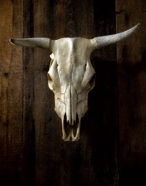 Kafatası üzerinde ahşap arka plan yönlendirmek